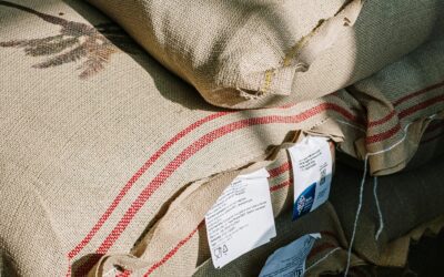 El “saco de la fuerza de voluntad”: vivir entre el “deber” y el “querer”